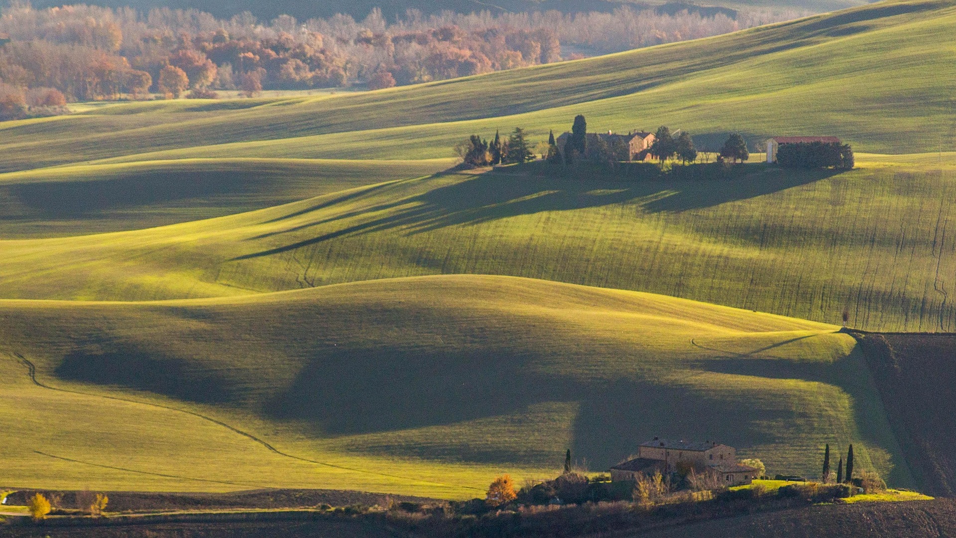 colline toscane