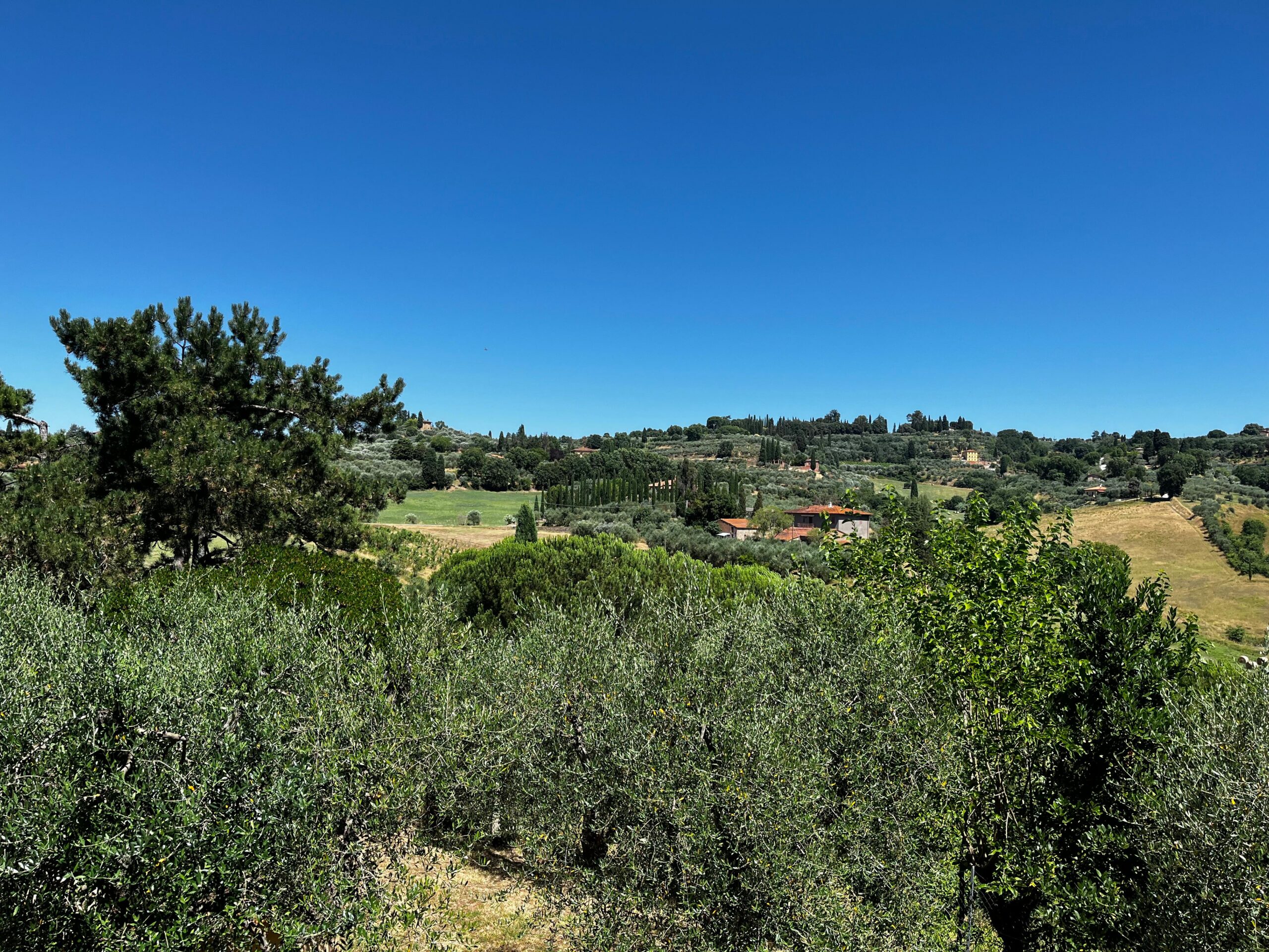 vista podere campanella